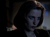 cap318.jpg