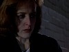 cap410.jpg