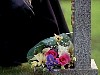 cap540.jpg