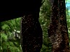 cap373.jpg