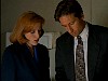 cap441.jpg