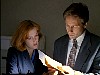 cap445.jpg