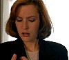 cap532.jpg