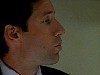 cap023.jpg