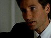 cap460.jpg