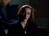 cap323.jpg