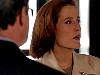 cap274.jpg