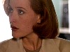 cap276.jpg