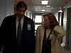 cap046.jpg