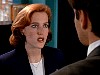 cap316.jpg