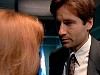 cap319.jpg