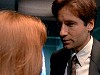 cap320.jpg