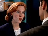 cap321.jpg
