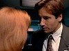cap323.jpg