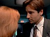 cap324.jpg