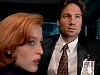 cap356.jpg