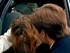 cap453.jpg