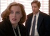 cap110.jpg