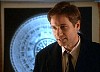 cap531.jpg