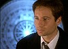 cap538.jpg