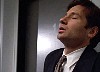 cap413.jpg