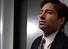 cap415.jpg