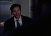 cap467.jpg