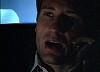 cap535.jpg