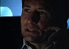 cap536.jpg