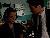 cap318.jpg