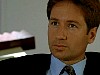 cap343.jpg