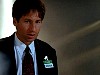 cap350.jpg