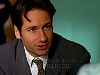 dcap039.jpg