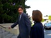 dcap173.jpg