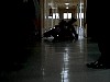 dcap243.jpg