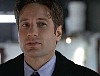 x-files110.jpg