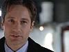 x-files113.jpg