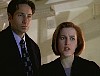 x-files244.jpg