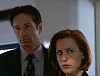 x-files264.jpg