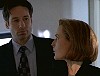 x-files275.jpg