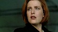 x-files-662.jpg