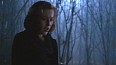 x-files021.jpg
