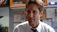 x-files234.jpg