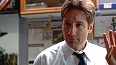 x-files238.jpg