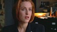 x-files246.jpg