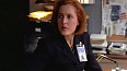 x-files251.jpg