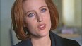 x-files335.jpg