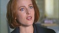 x-files351.jpg