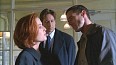 x-files365.jpg