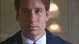 x-files378.jpg